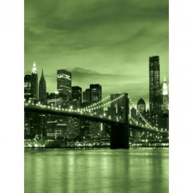 Fototapeta panel - PL0374 - Zelený New York
