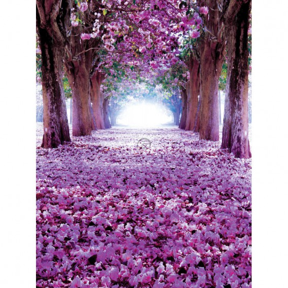 Fototapeta panel - PL0410 - Kvitnúca alej