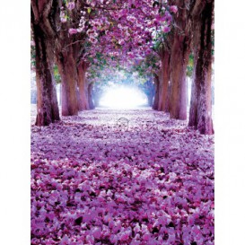 Fototapeta panel - PL0410 - Kvitnúca alej
