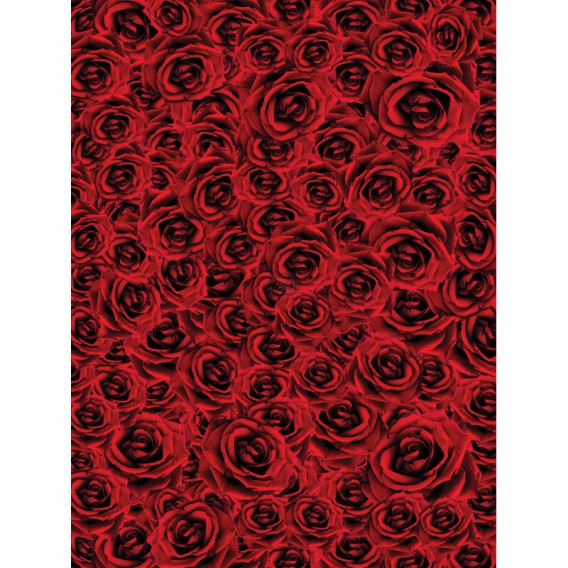 Fototapeta panel - PL0421 - Červene ruže