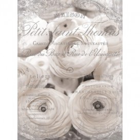 Fototapeta panel - PL0425 - Ruže