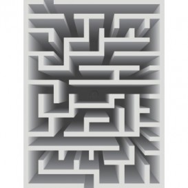 Fototapeta panel - PL0443 - 3D - Labyrint – sivý