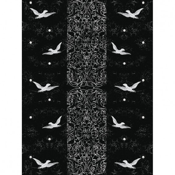Fototapeta panel - PL0469 - Vtáky – čierne