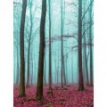 Fototapeta panel - PL0540 - Zahmlený les