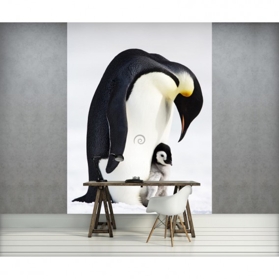 Fototapeta panel - PL0557 - Tučniak kráľovský s mláďaťom