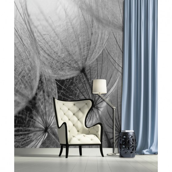 Fototapeta panel - PL0584 - Čiernobiela púpava