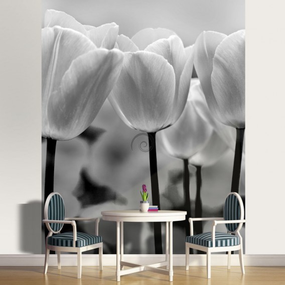 Fototapeta panel - PL0589 - Čiernobiele tulipány