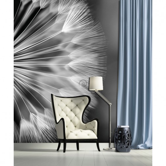 Fototapeta panel - PL0593 - Čiernobiela púpava