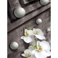 Fototapeta panel - PL0603 - 3D orchidea