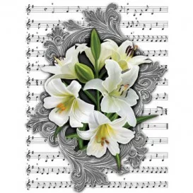 Fototapeta panel - PL0617 - Biele ľalie na notovom papieri