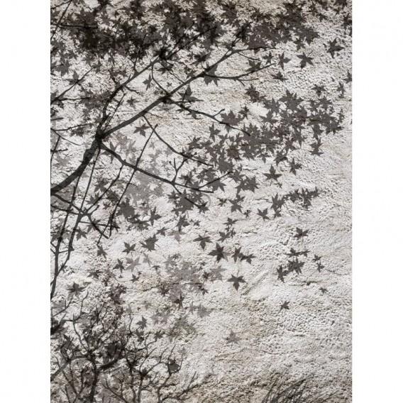 Fototapeta panel - PL0664 - Jeleň