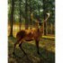 Fototapeta panel - PL0686 - Les a jeleň