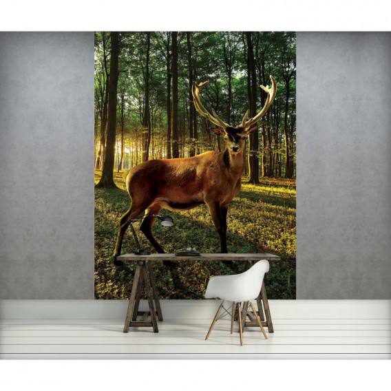 Fototapeta panel - PL0686 - Les a jeleň