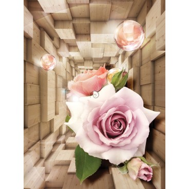 Fototapeta panel - PL0764 - 3D kocky s kvetmi