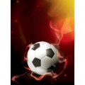 Fototapeta panel - PL0773 - 3D futbalová lopta
