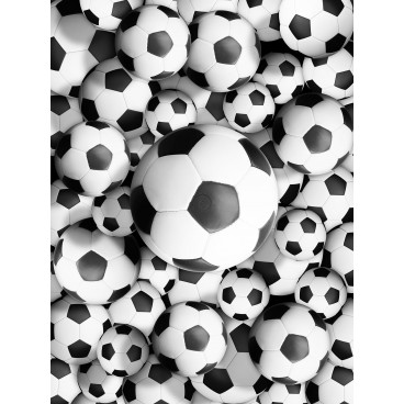 Fototapeta panel - PL0777 - Futbalové lopty