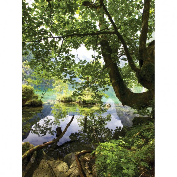 Fototapeta panel - PL0790 - Les