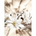 Fototapeta panel - PL0807 - Biely kvet