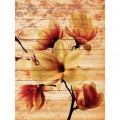 Fototapeta panel - PL0816 - Oranžový kvet