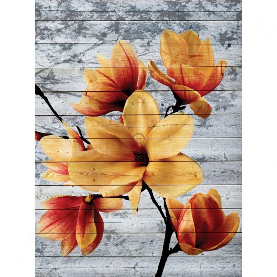 Fototapeta panel - PL0817 - Oranžový kvet