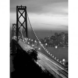 Fototapeta panel - PL0844 - Čiernobiely Golden Bridge