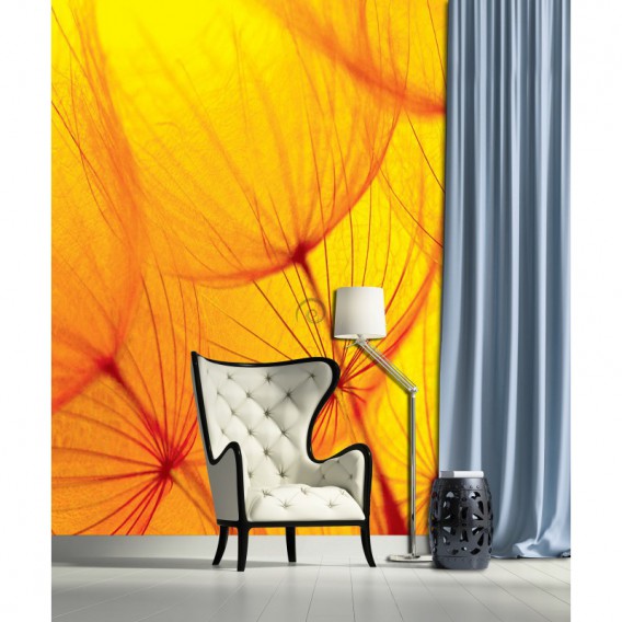 Fototapeta panel - PL0851 - Oranžová púpava