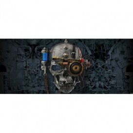 Panoramatická fototapeta - FT2409 - Lebka steampunk