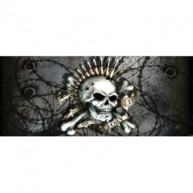 Panoramatická fototapeta - FT4411 - Lebka s nábojmi – sivá