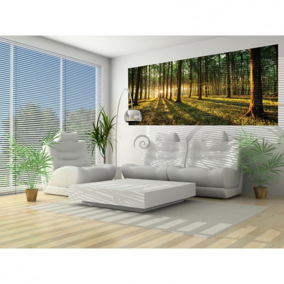 Panoramatická fototapeta - FT2743 - Les