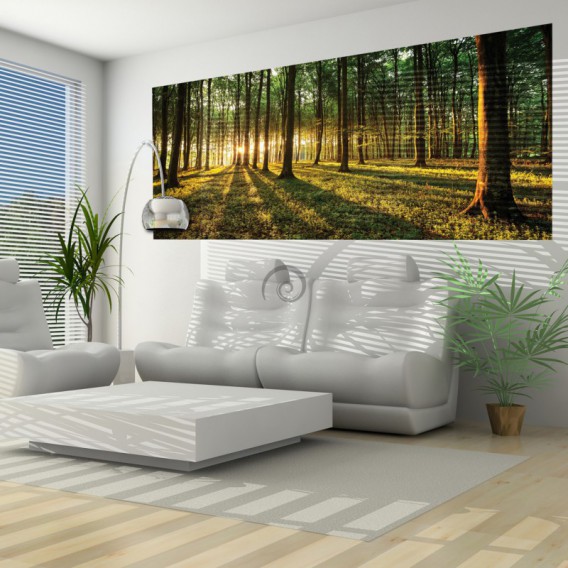 Panoramatická fototapeta - FT2743 - Les