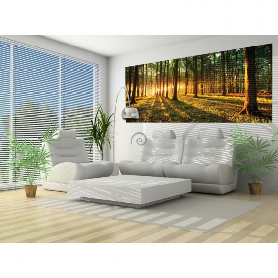 Panoramatická fototapeta - FT2744 - Les