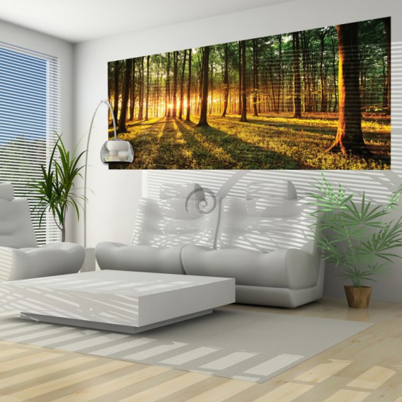 Panoramatická fototapeta - FT2744 - Les