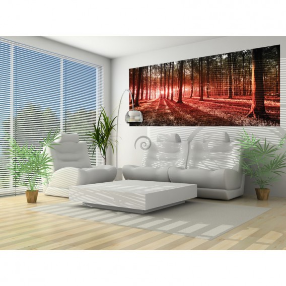 Panoramatická fototapeta - FT2745 - Les