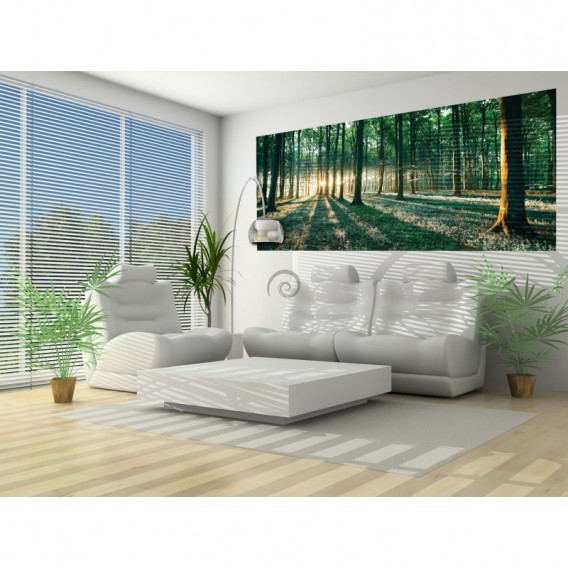 Panoramatická fototapeta - FT2746 - Les
