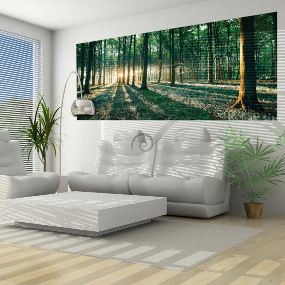 Panoramatická fototapeta - FT2746 - Les