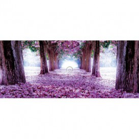 Panoramatická fototapeta - FT3141 - Kvitnúca alej