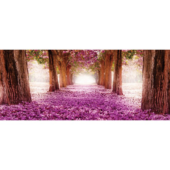 Panoramatická fototapeta - FT3142 - Kvitnúca alej
