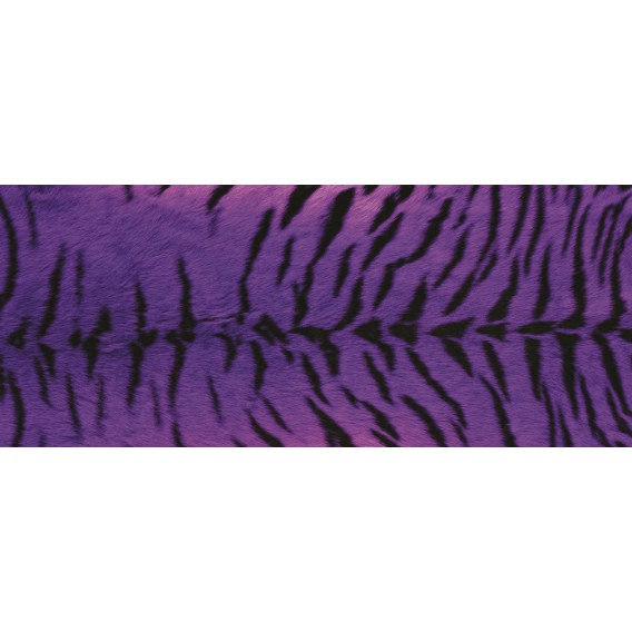 Panoramatická fototapeta - PA0044 - Tigria koža