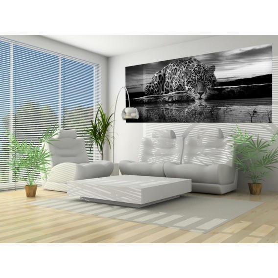 Panoramatická fototapeta - PA0055 - Čiernobiely jaguár