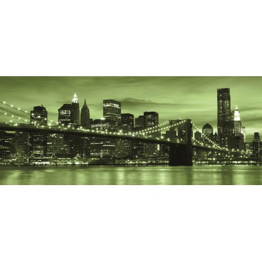 Panoramatická fototapeta - PA0061 - Zelený New York