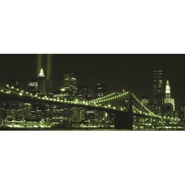 Panoramatická fototapeta - PA0065 - Zelený New York