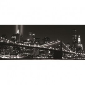 Panoramatická fototapeta - PA0068 - Čiernobiely New York