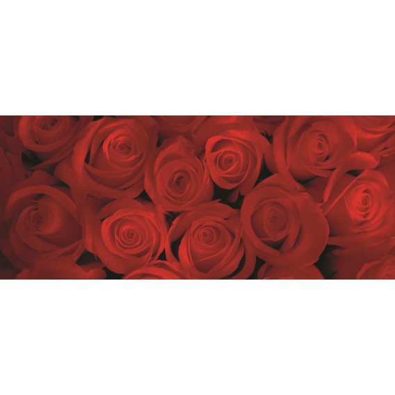 Panoramatická fototapeta - PA0069 - Červené ruže