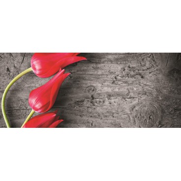 Panoramatická fototapeta - PA0085 - Tulipány