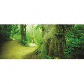 Panoramatická fototapeta - PA0088 - Zelený strom