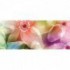 Panoramatická fototapeta - PA0119 - Farebné kvety