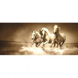 Panoramatická fototapeta - PA0124 - Oranžové kone