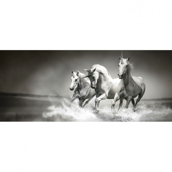 Panoramatická fototapeta - PA0125 - Jednorožce čiernobiele