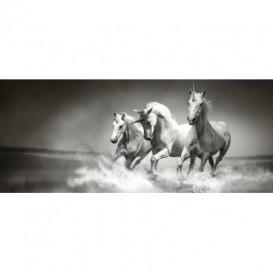 Panoramatická fototapeta - PA0125 - Jednorožce čiernobiele