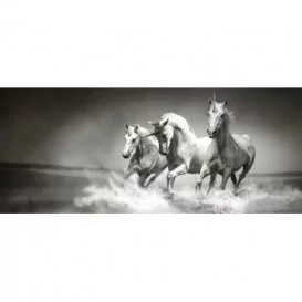 Panoramatická fototapeta - PA0125 - Jednorožce čiernobiele
